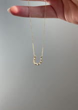 Load and play video in Gallery viewer, Diamond Horseshoe Necklace